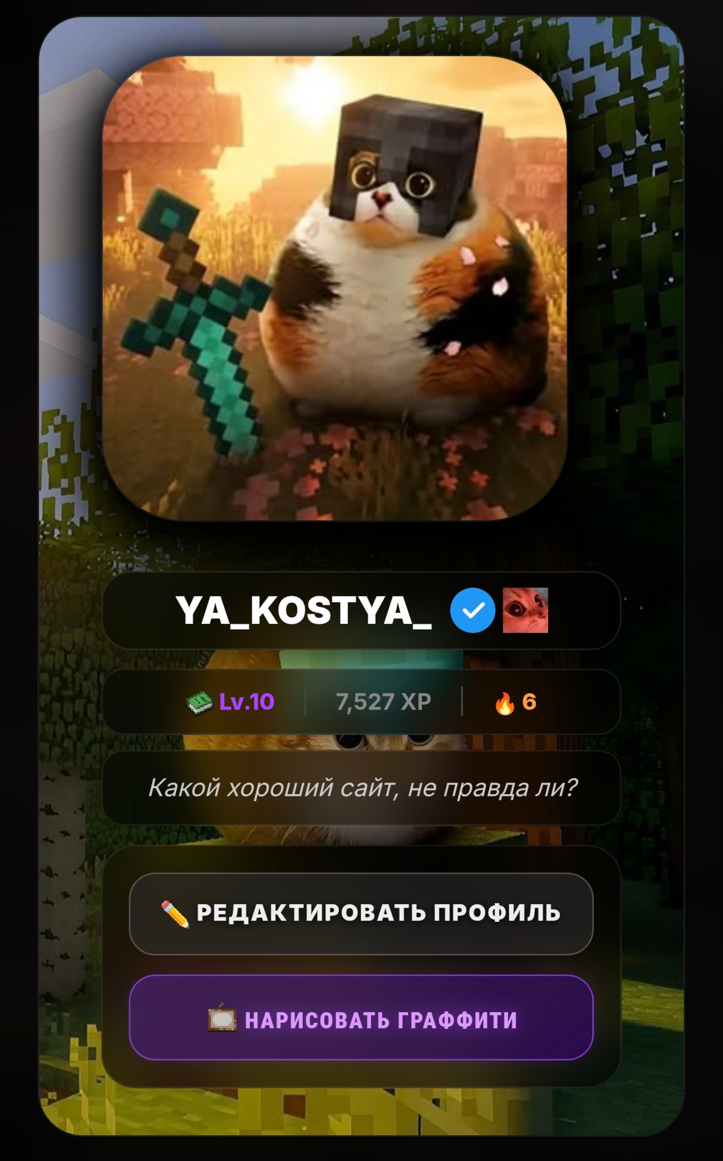 Обновление профиля.